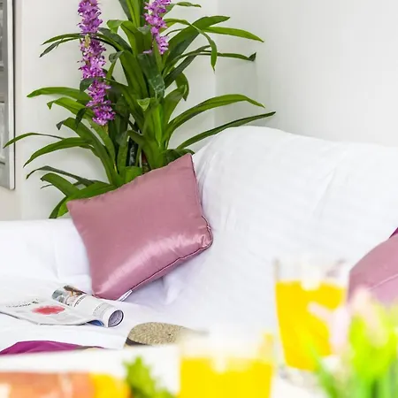 Blush Palm Appartement *
